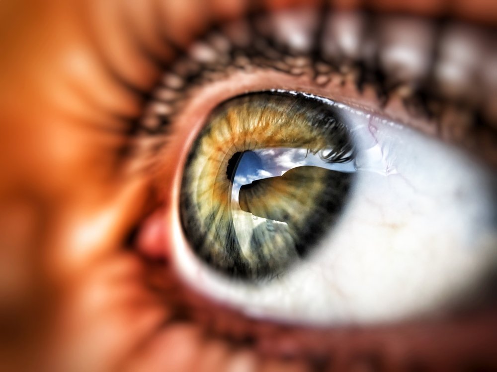 Photograph by Павел Швец