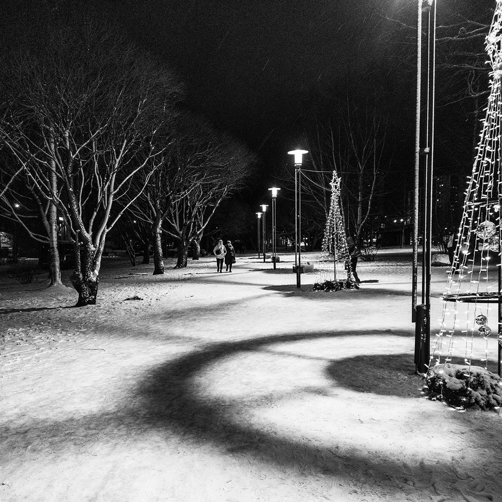 Photograph by Крицак Ольга