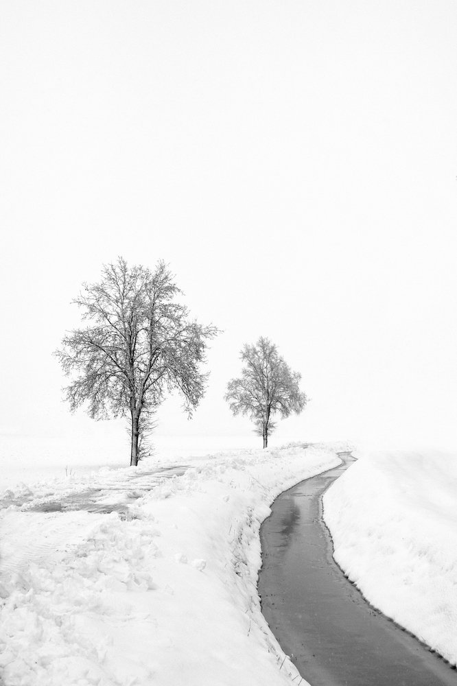 Photograph by Giuseppe Galli