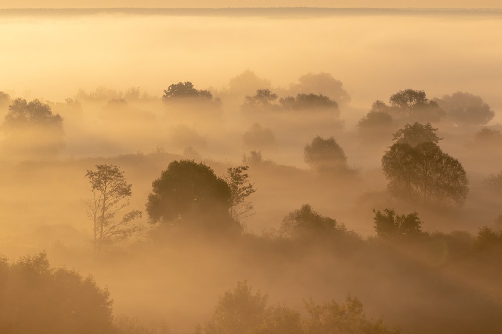 Photograph by Барабанов Алексей