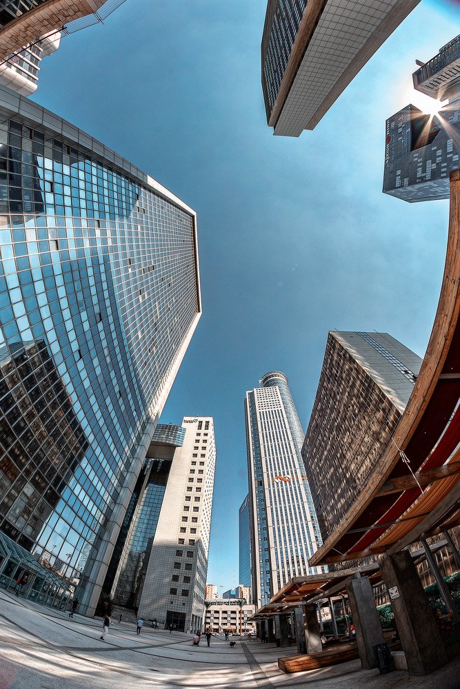 Photograph by David Lerer