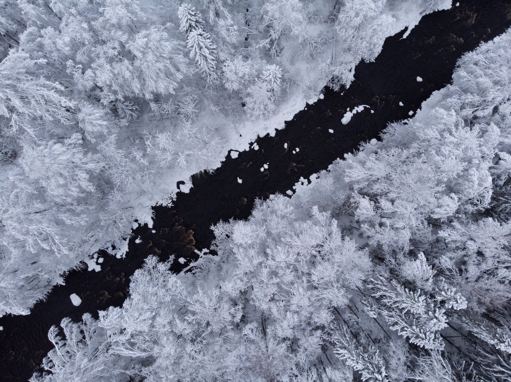 Photograph by Евгений Васильев