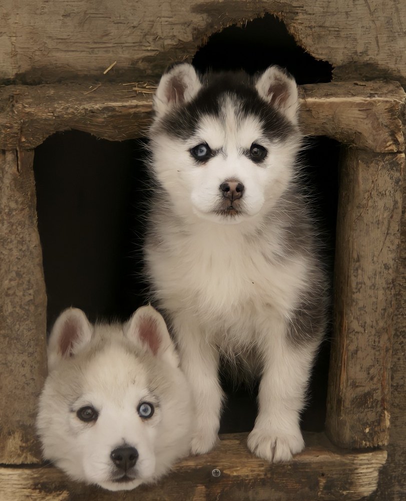 Photograph by Наталья Изотова