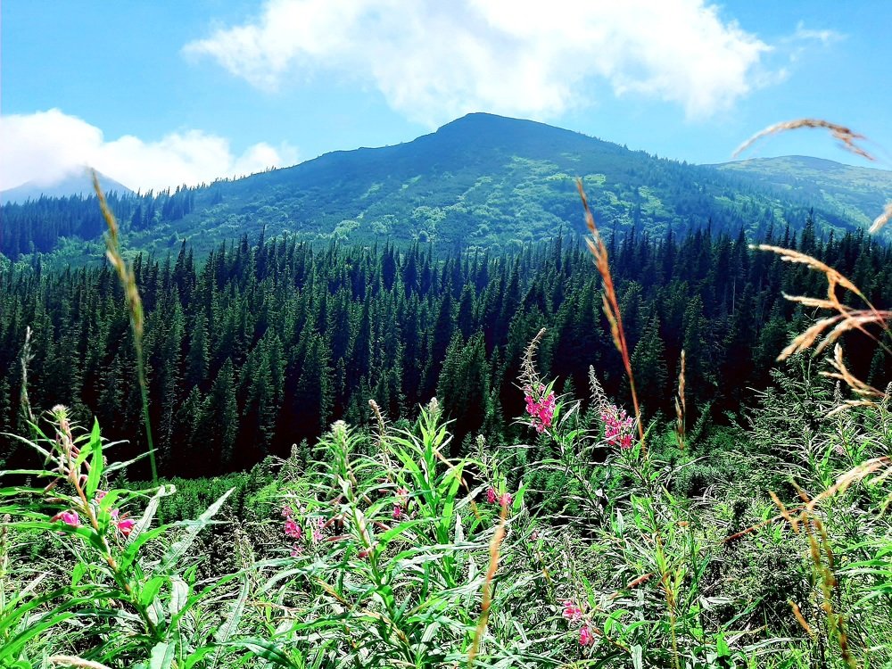 Photograph by Irina Gordienko