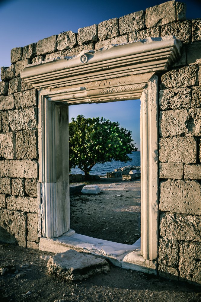 Photograph by Алексей Стариков