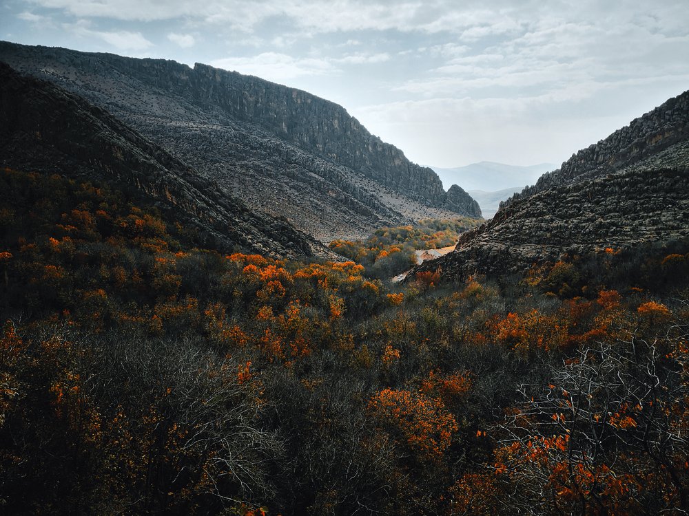 Photograph by Alireza Sharifi lari
