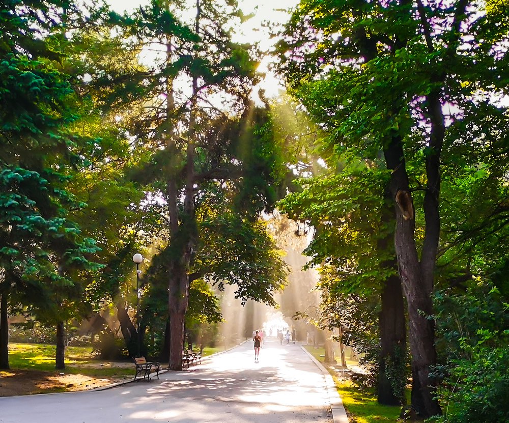 Фотография автора OLEG MOZHEVIN