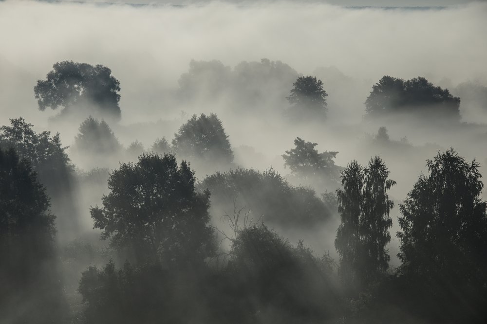Photograph by Барабанов Алексей