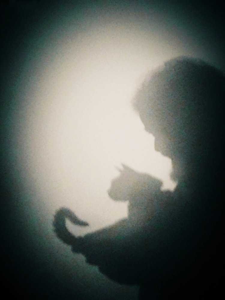 Photograph by Rita Moura