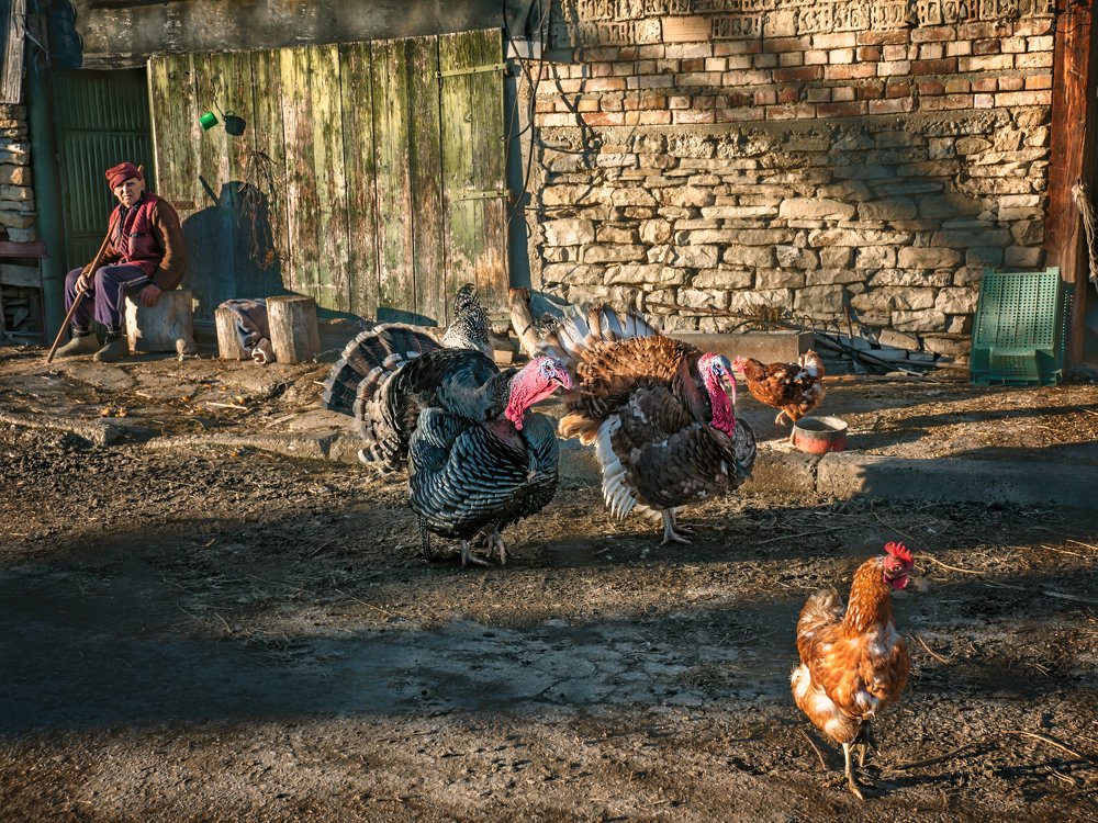 Photograph by IRA Gencheva