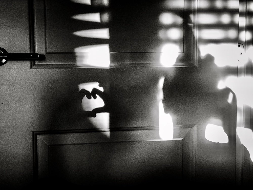 Photograph by Timea Kovacs