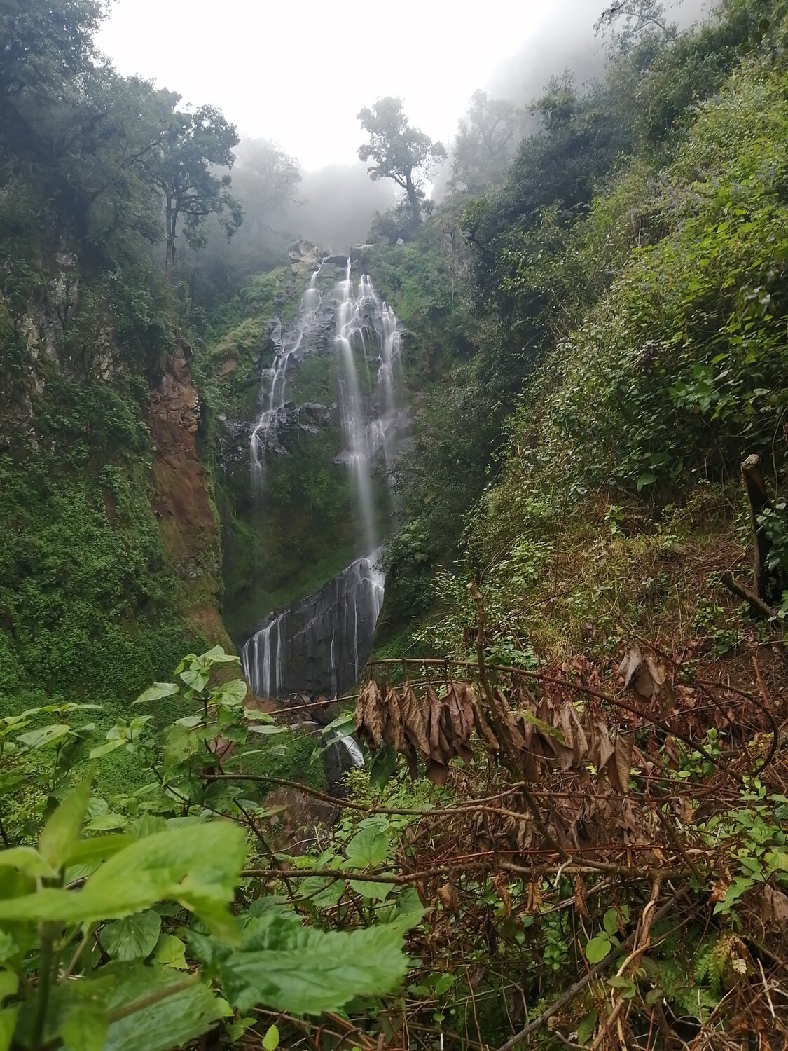 Entre cañones...