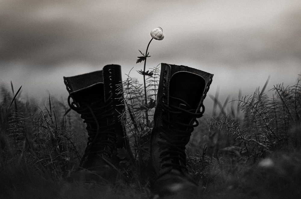 Photograph by Никита Чадаев