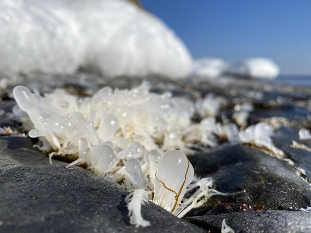 Photograph by Константин Нагорняк