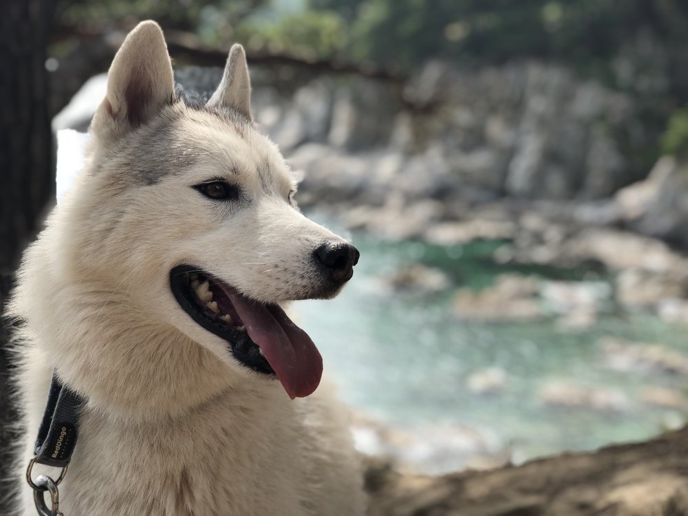 Photograph by Константин Нагорняк