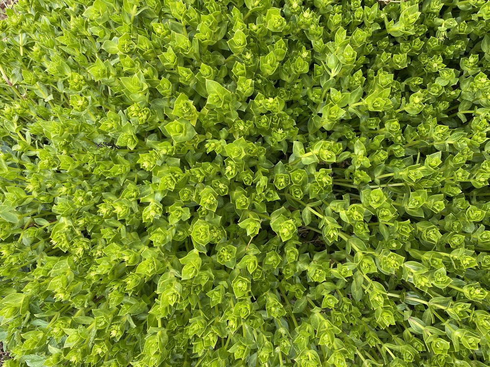 Photograph by Константин Нагорняк