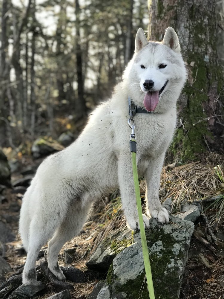 Photograph by Константин Нагорняк