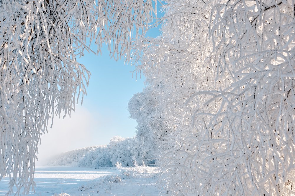 Photograph by Константин Леонтьев