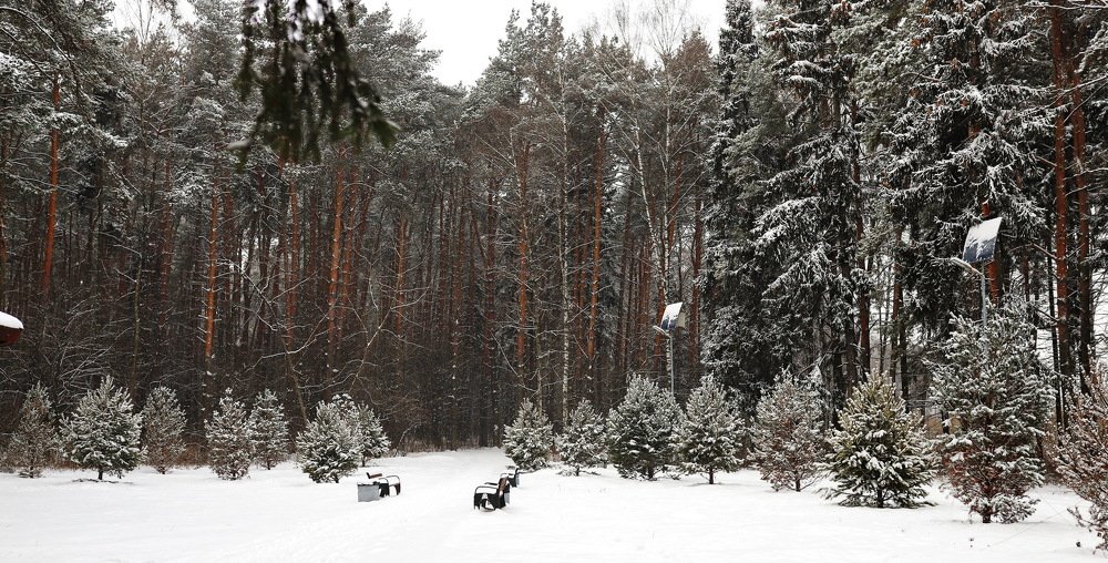 Photograph by Константин Лагоденко