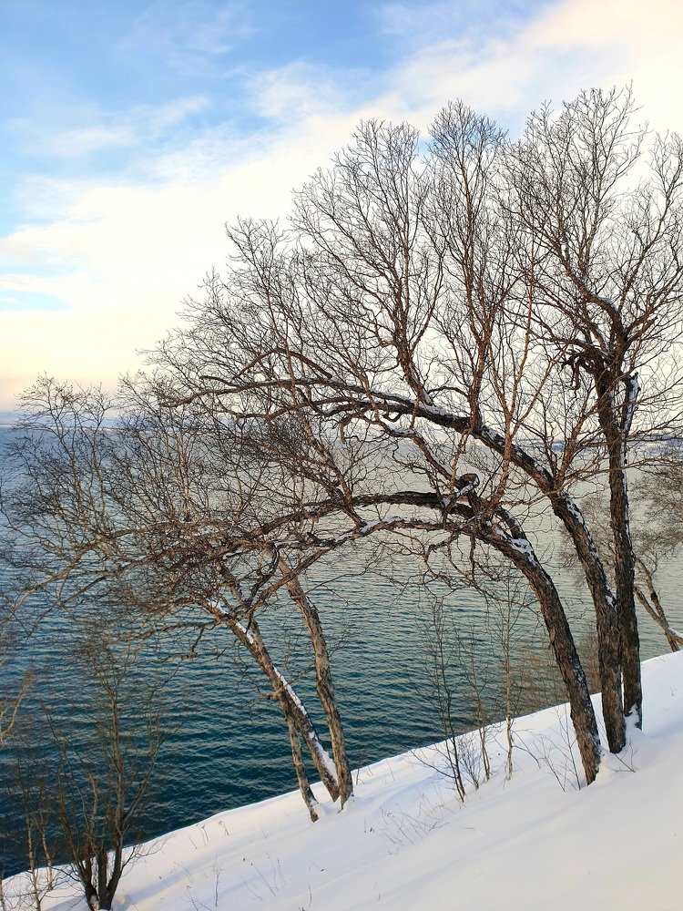 Photograph by Антон Узлов