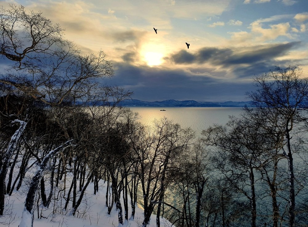 Photograph by Антон Узлов