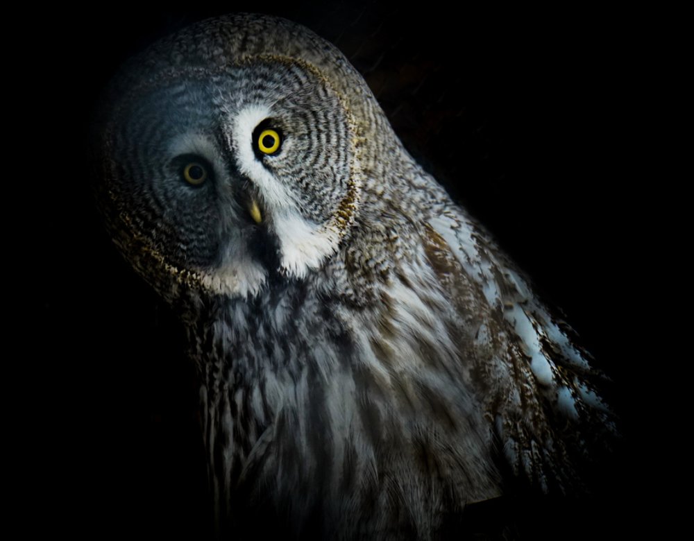 Photograph by Ирина Окладникова