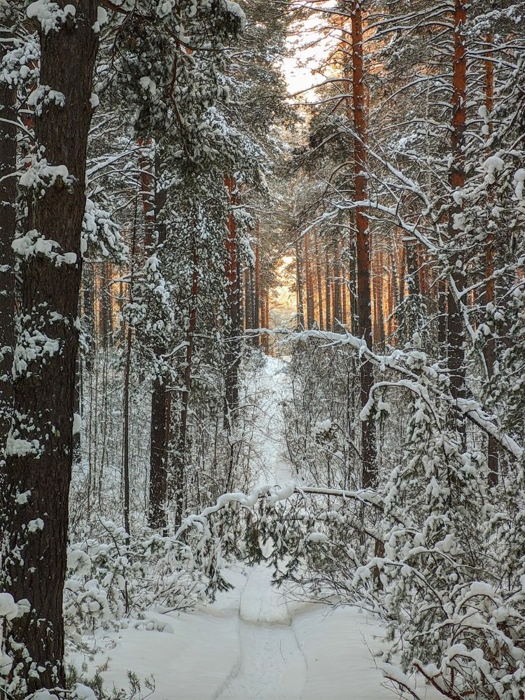 Photograph by Дмитрий Кузнецов
