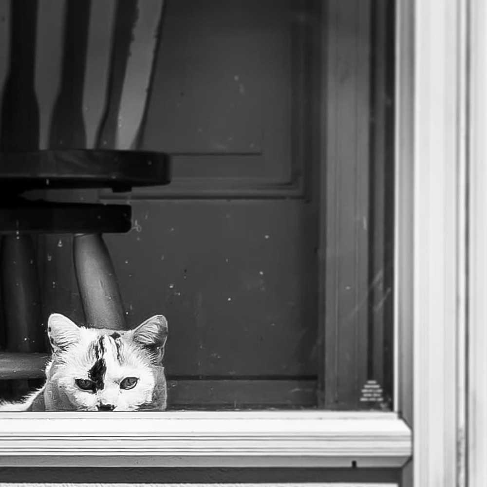 Photograph by Sharon Sabharwal