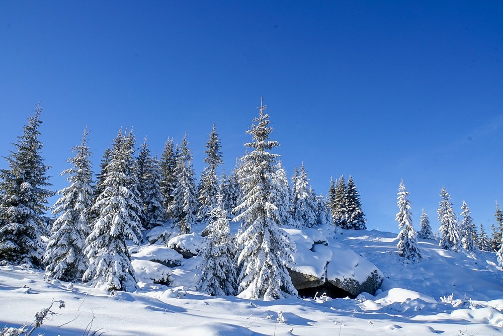 Photograph by Emőke Novák