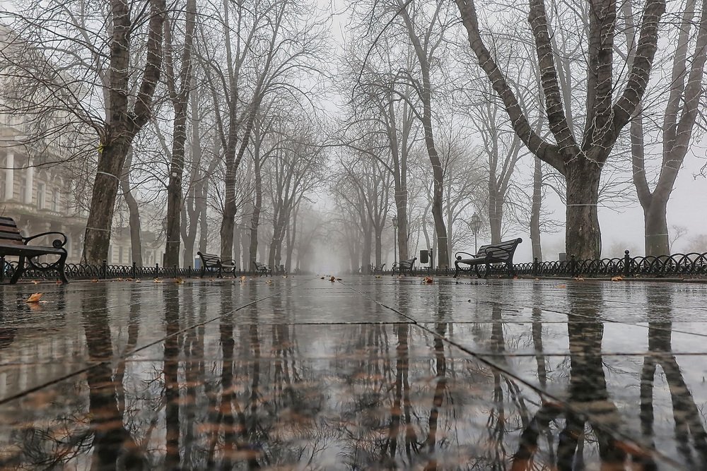 Photograph by Дмитрий Степанов