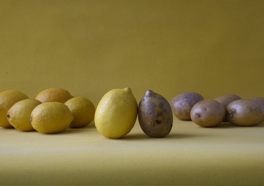 Photograph by Svetlana Khromova