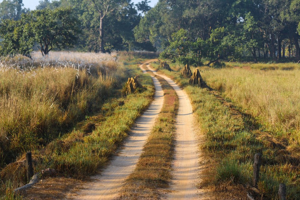 Landscape of Kanha