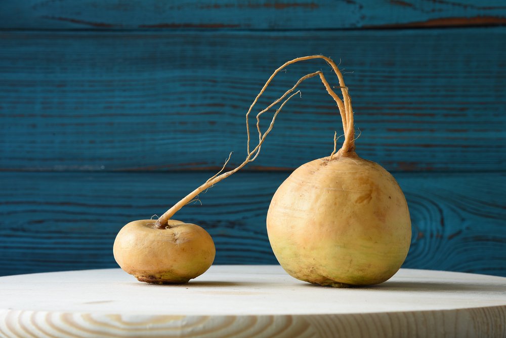 Photograph by Svetlana Khromova