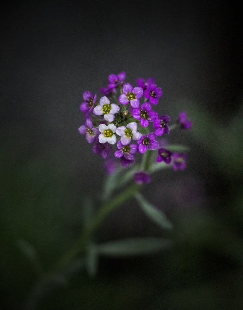 Photograph by Евгений Михеев