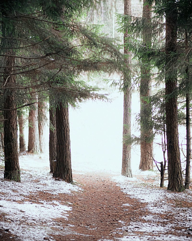 Photograph by Ирина Семёнова