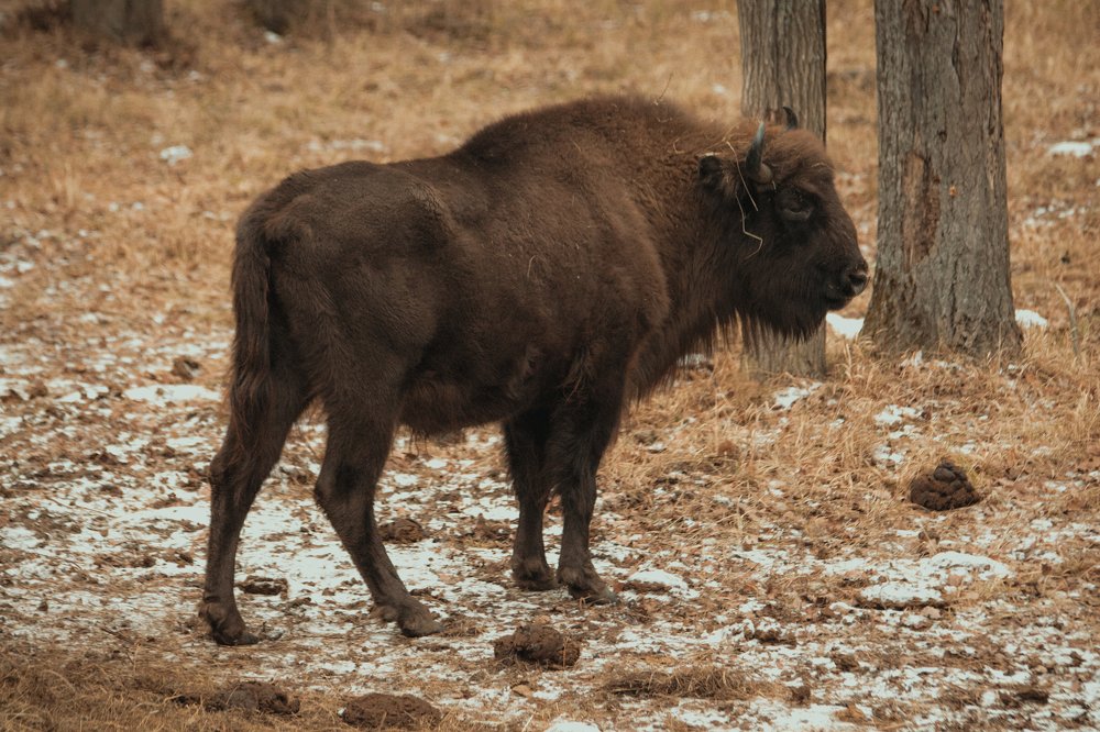 Photograph by Екатерина Кудрявцева