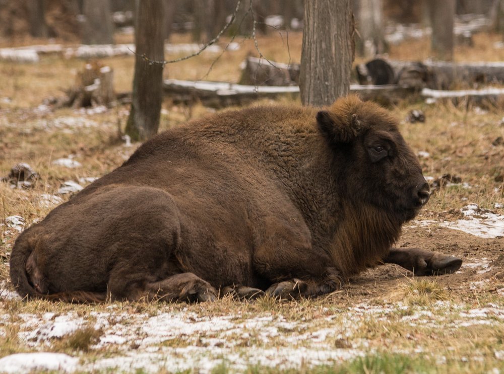 Photograph by Екатерина Кудрявцева