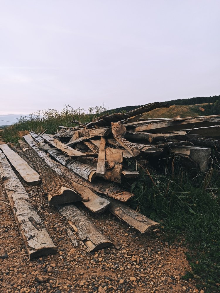 Photograph by Валерия Миронова