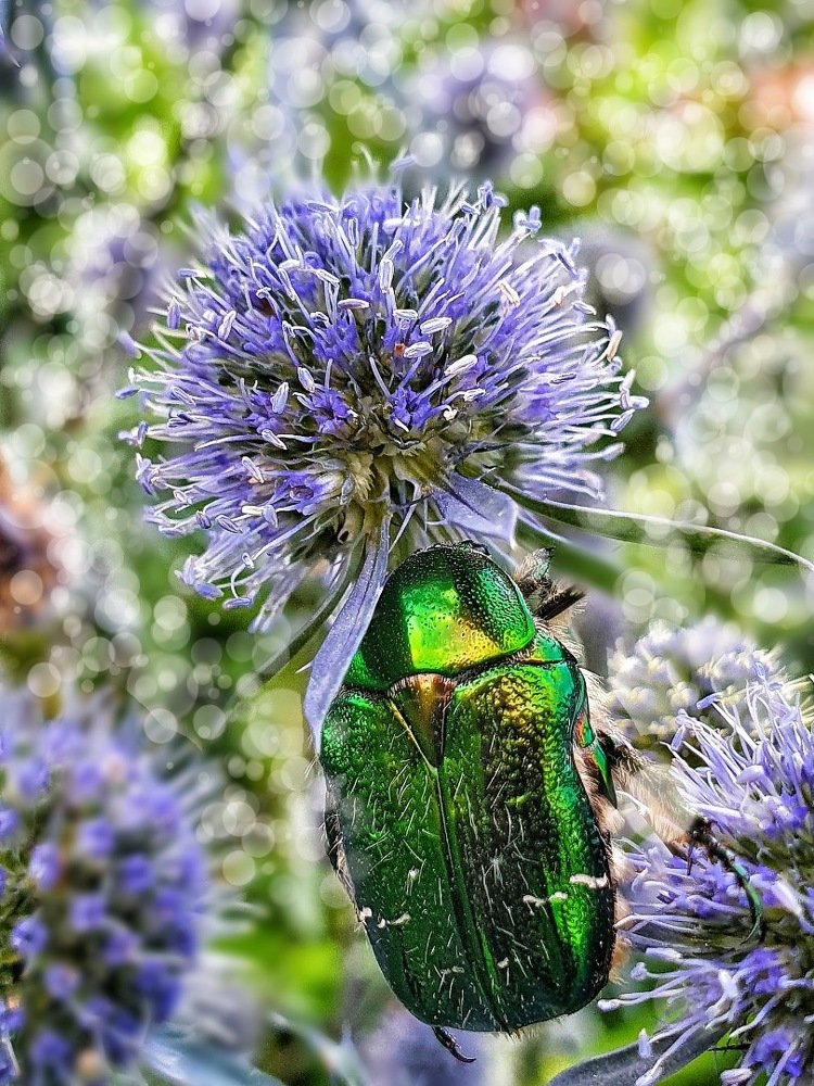 Photograph by Ирина Змитрович