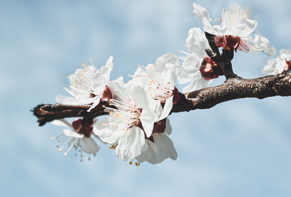 Photograph by Юлия Ковальчук