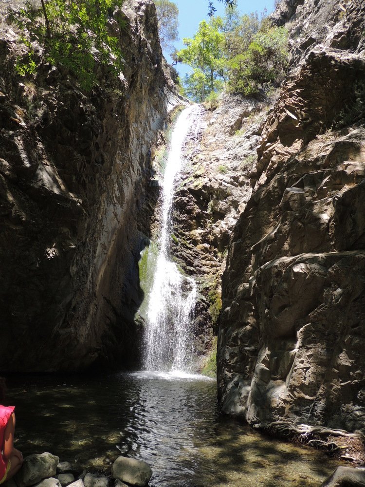 Photograph by Светлана Гринцова