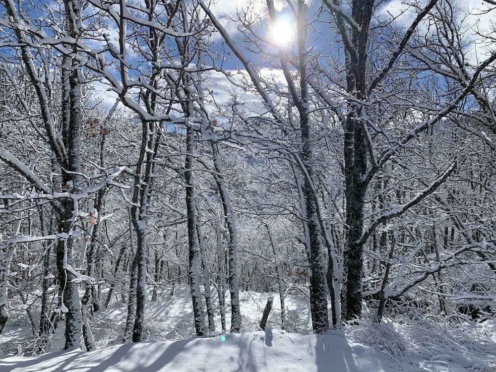 Фотография автора Julio Esteban