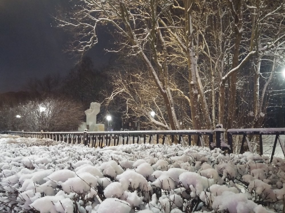 Photograph by Елена Амосова