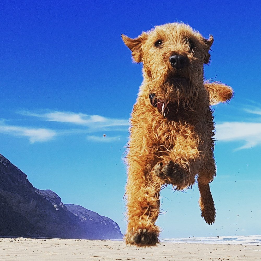 Photograph by Nocholas Leonard