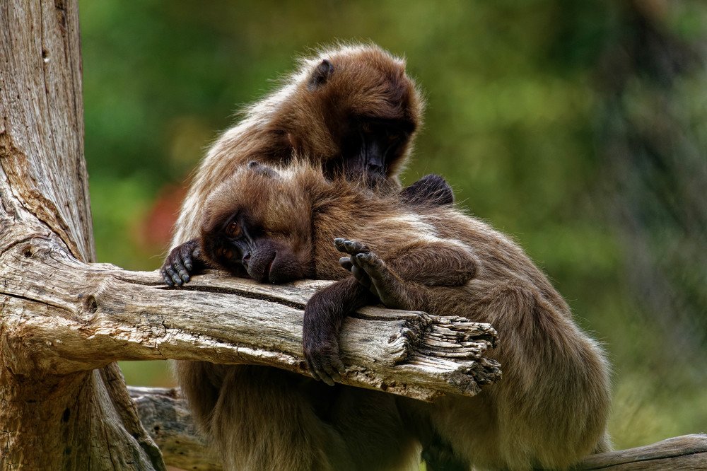 Photograph by Marie-george Lavaurs