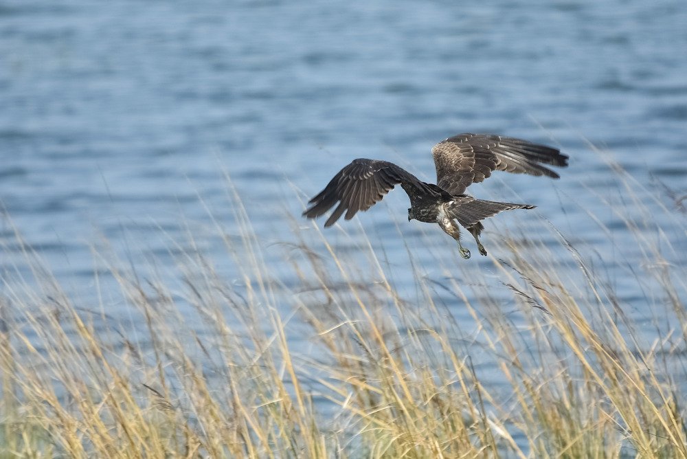 Photograph by YASH NEIL