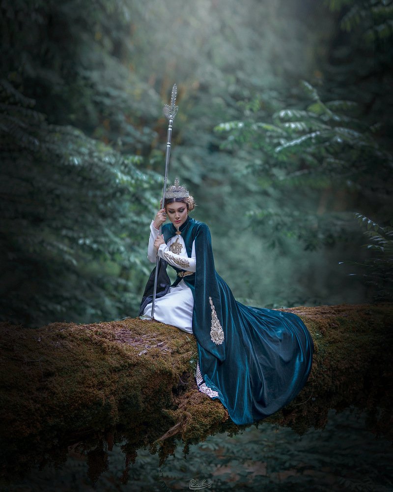 Photograph by Reza Kakavandi