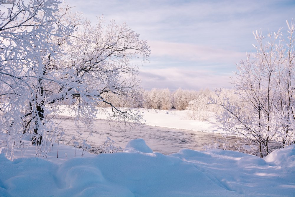 Photograph by Ольга Ривкина