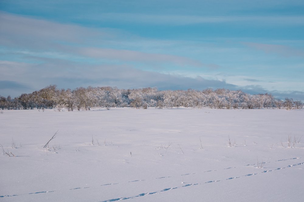 Photograph by Ольга Ривкина