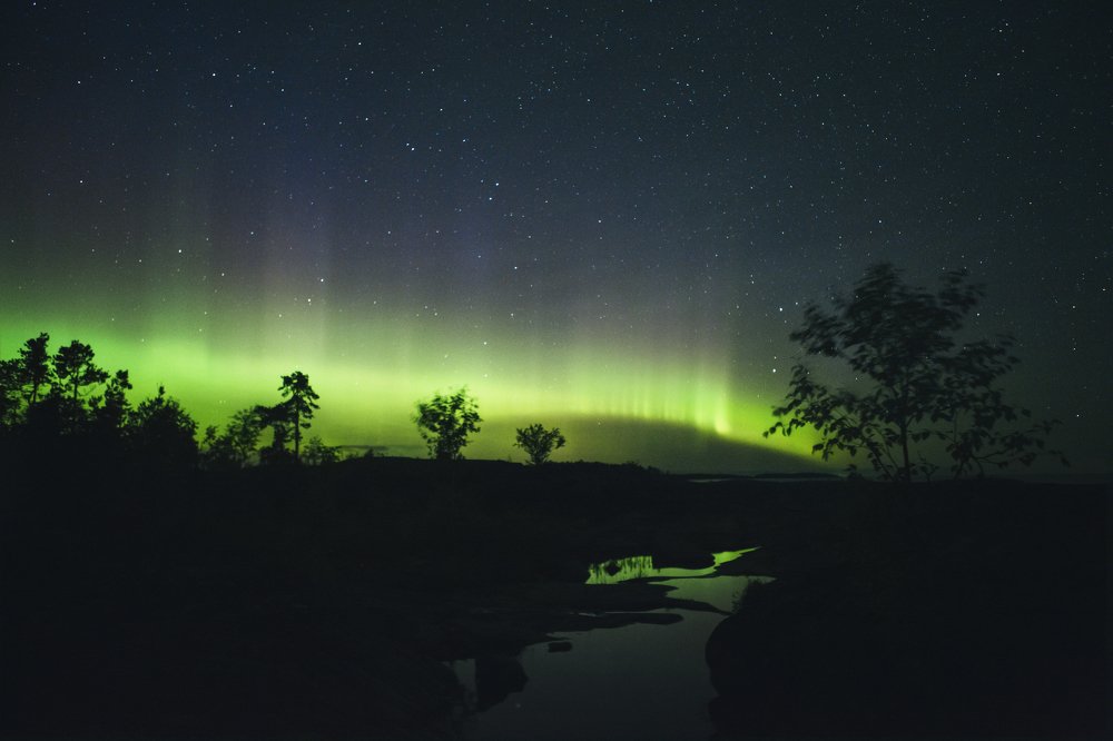 Фотография автора Алексей Новиков